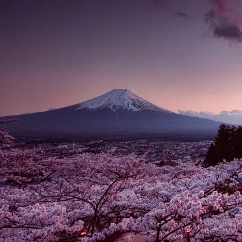 دوچرخه کوهستان جاینت